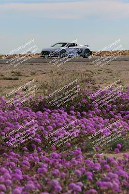 media/Jan-08-2023-SCCA SD (Sun) [[8f6a5b9391]]/Advanced Group/Session 2 (Short Straight)/